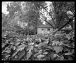 Primary view of [House Beyond Ivy, 1991]