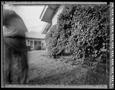 Primary view of [Guy in Yard Ivy on Porch, 1991]