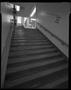 Photograph: [Lipscomb Elementary Huge Stairs, 1999]