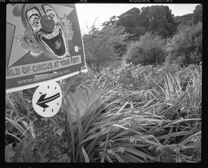 Primary view of object titled '[Clown Sign Ireland, 2007]'.