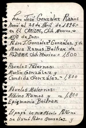 Primary view of object titled '[Pedro J. Gonzalez, handwritten family history information, 3]'.