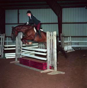Primary view of object titled '[A horse jumping over a high obstacle]'.
