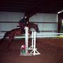 Thumbnail image of item number 1 in: '[A horse jumping over two obstacles]'.