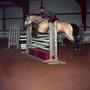 Photograph: [A light brown horse with black socks jumping over an obstacle]
