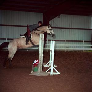 Primary view of object titled '[A light brown horse with black socks jumping over an obstacle, 2]'.