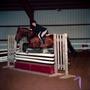 Thumbnail image of item number 1 in: '[A dark brown horse with black socks jumping over an obstacle]'.