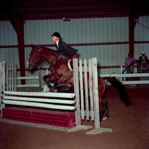 Primary view of object titled '[A dark brown horse with black socks jumping over an obstacle, 2]'.