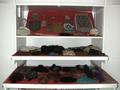 Photograph: [Cabinet storage for historic purses]