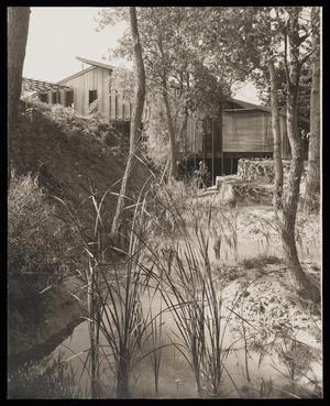 Primary view of object titled '[Home Exterior - Backyard]'.