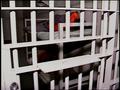 Video: [News Clip: Fort Worth Jail Crowds]