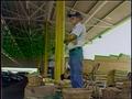 Video: [News Clip: Farmers Market]