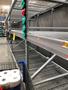 Primary view of [Empty Shelves at Local Walmart Store]