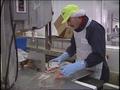 Video: [News Clip: Fish Safety]