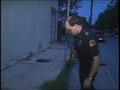 Video: [News Clip: Crime Sweep]