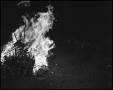 Photograph: [1941 Homecoming Bonfire]