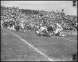 Photograph: [1961 North Texas vs Tulsa Football Game]