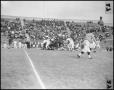 Primary view of [North Texas vs Louisville 1961]