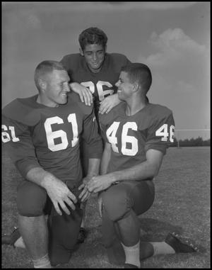 Primary view of object titled '[Dallas Co. football players]'.