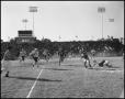 Thumbnail image of item number 1 in: '[North Texas Vs. Tulsa Football Game, 1960]'.