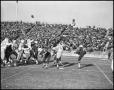 Photograph: [1960 Homecoming Football Game]