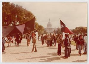 Primary view of object titled '[Texas Flag at Gay Rights March]'.