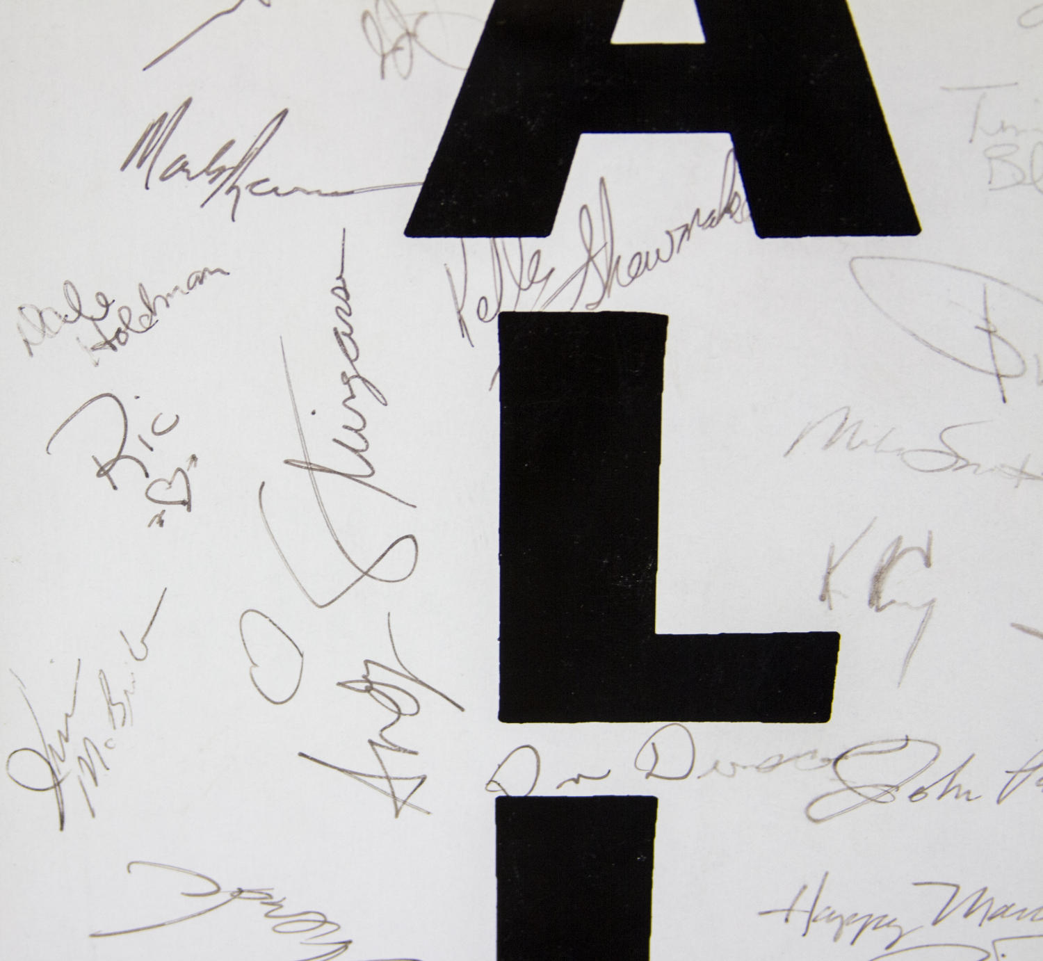 [Dallas poster from the March On Washington (signature close up)]
                                                
                                                    [Sequence #]: 1 of 1
                                                