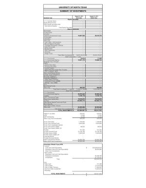 Primary view of object titled 'University of North Texas Summary of Investments, 2011'.