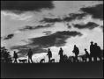 Photograph: [Hunters on the Move at Sunset (2)]