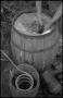 Photograph: [Mixing grain in a barrel]