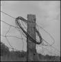 Primary view of [A fence with a roll of barbed wire, 3]