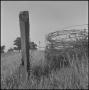Photograph: [A wooden post and wire fencing, 2]