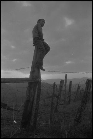 Primary view of object titled '[Jimmy Powell Sitting on a Fence Post]'.