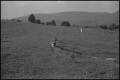 Primary view of [Photograph of a boy running with his dog, 1]