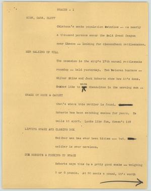 Primary view of object titled '[News Script: Snakes]'.