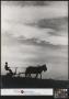 Primary view of [Two Mules Pulling a Plow driven by Wade Hampton Clark, Sr.]