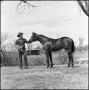 Photograph: [Yearling colt]
