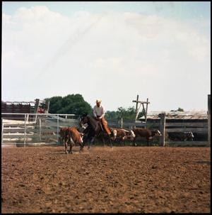 Primary view of object titled '[Jim Lee riding Leadin' Burley]'.