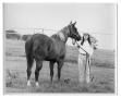 Photograph: [Woman with Horse at Rosemeade Ranch]