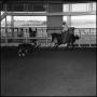 Photograph: [Cowboy in cutting practice at Cutter Bill Arena]