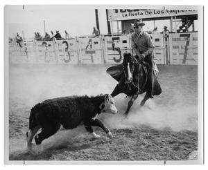 Primary view of object titled '[Marion Flynt Roping a Calf]'.