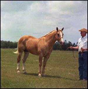 Primary view of object titled '[Stan's Man and cowboy]'.