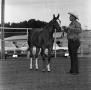 Photograph: [Man in a Stetson Holds a Horse]