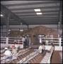 Primary view of [Wells Ranch arena]