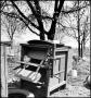 Photograph: [Mill sitting in the yard]
