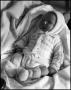 Photograph: [Baby Junebug laying in a blanket, 6]