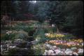 Photograph: Banff public garden