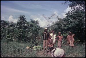 Primary view of object titled 'Pygmies'.