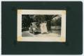 Photograph: [Album page  with two photos "large leaves"]