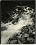 Photograph: [Long exposure of a river bed]