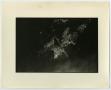 Photograph: [Photograph of plants in water]